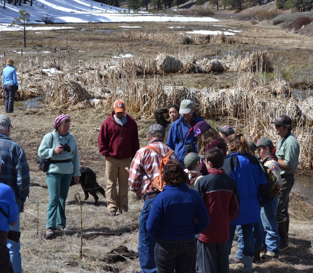 Support Friends of Coconino County Parks blank Support Friends of Coconino County Parks