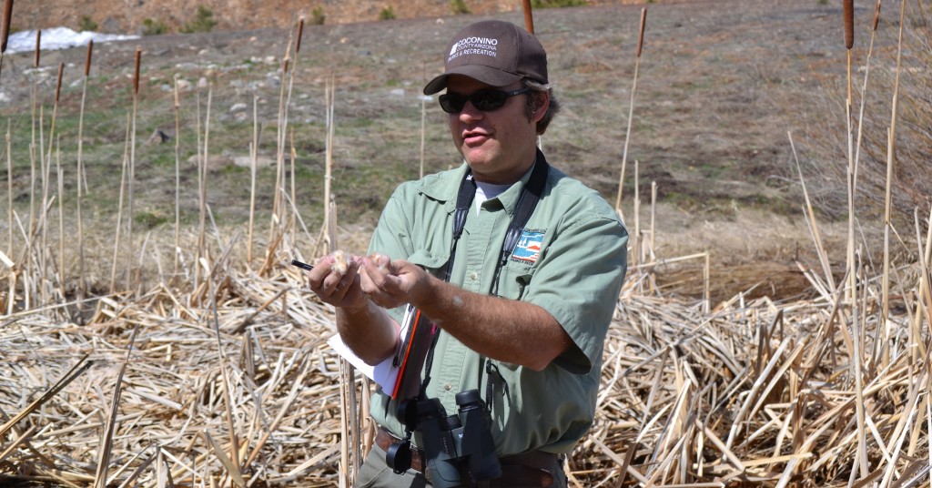 Support Friends of Coconino County Parks blank Support Friends of Coconino County Parks
